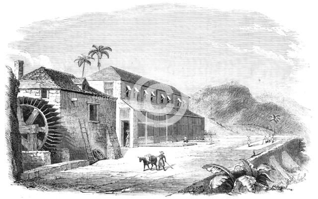 A Bocan, or Cocoa-Drying House in Granada, 1857. Creator: Percy.