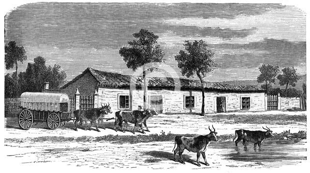 A Boer farm, South Africa, c1890. Artist: Unknown