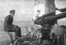 A bord des sous-marins allemands; Ravitaillement en viande fraiche: deux moutons provenant..., 1918 Creator: Unknown