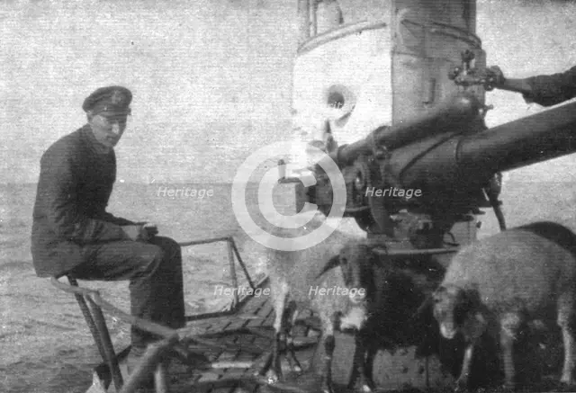 'A bord des sous-marins allemands; Ravitaillement en viande fraiche: deux moutons provenant..., 1918 Creator: Unknown.