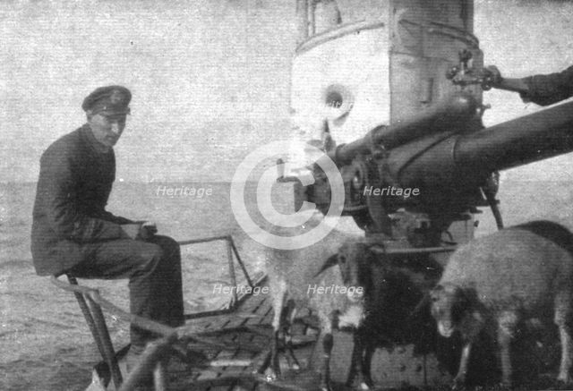 'A bord des sous-marins allemands; Ravitaillement en viande fraiche: deux moutons provenant..., 1918 Creator: Unknown.
