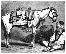 A Bosnian peasant, c1890