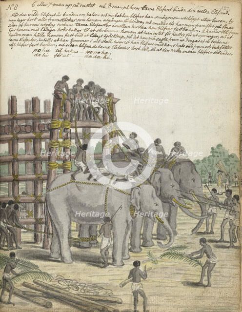 A Bound Elephant being led from the Last Section of the trap, the Prison Corral, 1785. Creator: Jan Brandes.