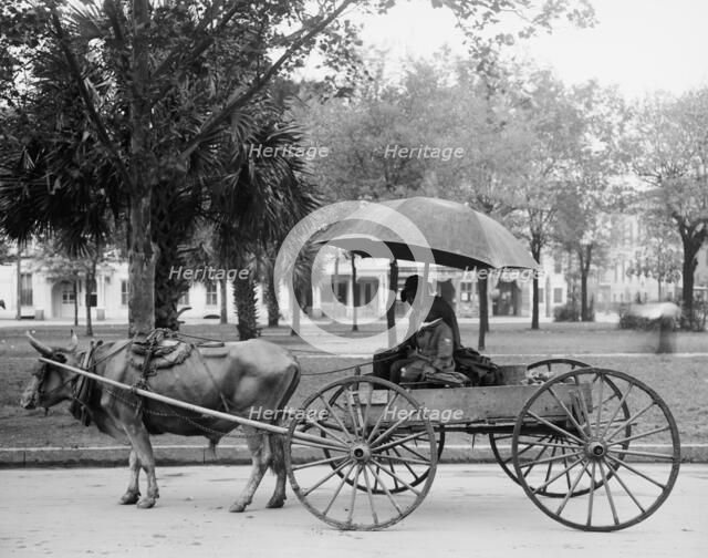 A Bovinmobile, Savannah, Ga., between 1900 and 1910. Creator: Unknown.