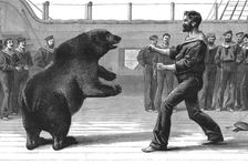 'A Boxing Match on board H.M.S."Cambridge"; The pet bear "Bob" has now been transferred to the Zool Creator: Unknown