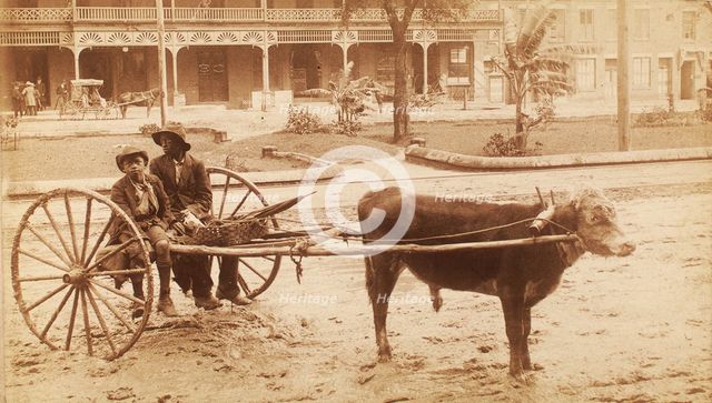 [A boy and a young man sitting on a cow-driven cart in muddy street], c1890-c1899. Creator: Unknown.