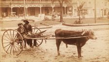 [A boy and a young man sitting on a cow-driven cart in muddy street], c1890-c1899. Creator: Unknown