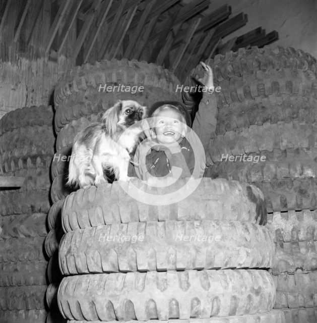 A boy with his dog on top of a pile of tyres imported from the USA, Sweden, c1940s(?). Artist: Otto Ohm