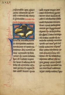 A Blackbird; De Natura Avium; De Pastoribus et Ovibus; On the Soul, 1277 or after. Creator: Unknown