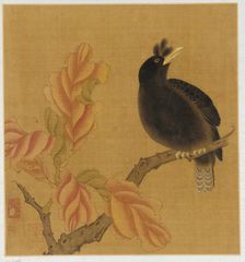 A blackbird on a branch; autumn leaves, Qing dynasty, 18th century. Creator: Unknown
