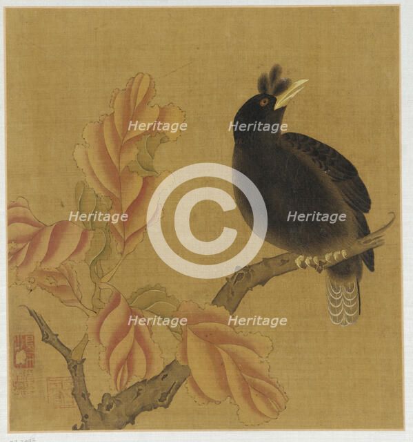 A blackbird on a branch; autumn leaves, Qing dynasty, 18th century. Creator: Unknown.