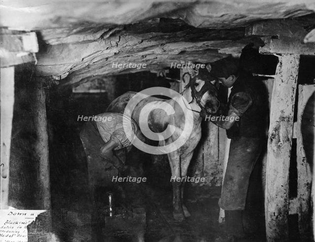 A blacksmith and his striker attending a pit pony, Clay Cross Colliery, Derbyshire, c1910. Artist: Albert Heath