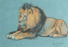 A Black-Maned African Lion. Creator: John MacAllan Swan