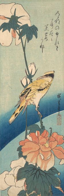 A Black-Naped Oriole on a Stem of Rose Mallow, ca. 1834., ca. 1834. Creator: Ando Hiroshige