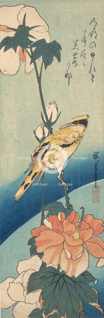 A Black-Naped Oriole on a Stem of Rose Mallow, ca. 1834., ca. 1834. Creator: Ando Hiroshige.