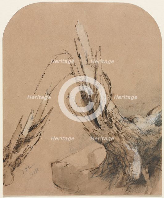A Blasted Tree, 1851. Creator: Jasper F. Cropsey (American, 1823-1900).