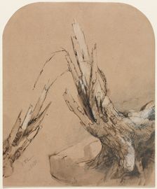 A Blasted Tree, 1851. Creator: Jasper F. Cropsey (American, 1823-1900)