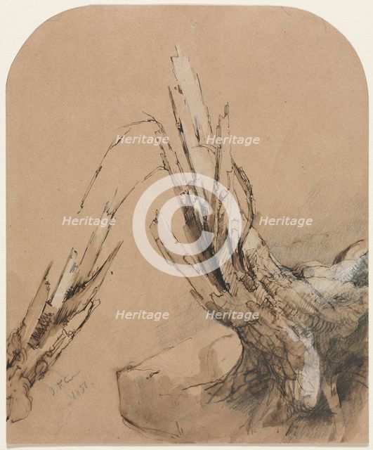 A Blasted Tree (recto) Floorplan (verso) , 1851. Creator: Jasper F. Cropsey (American, 1823-1900).