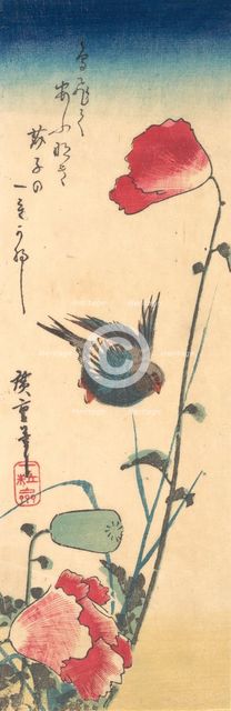 A Bluebird and Poppies, 1832-34., 1832-34. Creator: Ando Hiroshige.
