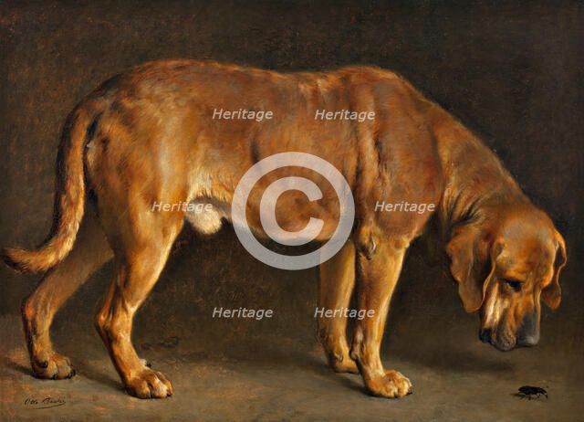 A Broholmer dog looking at a stag beetle, 1871. Creator: Otto Bache.