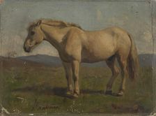 A broken horse, 1848. Creator: Adolph Tidemand