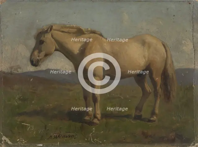 A broken horse, 1848. Creator: Adolph Tidemand.