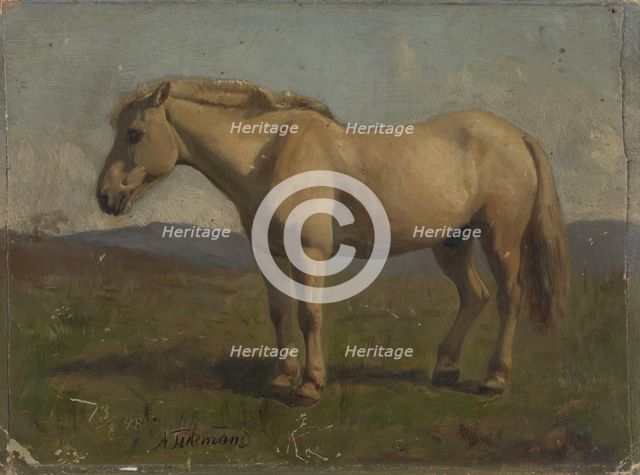 A broken horse, 1848. Creator: Adolph Tidemand.