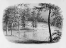 A Brook (from Hosack Album), . Creator: George Harvey