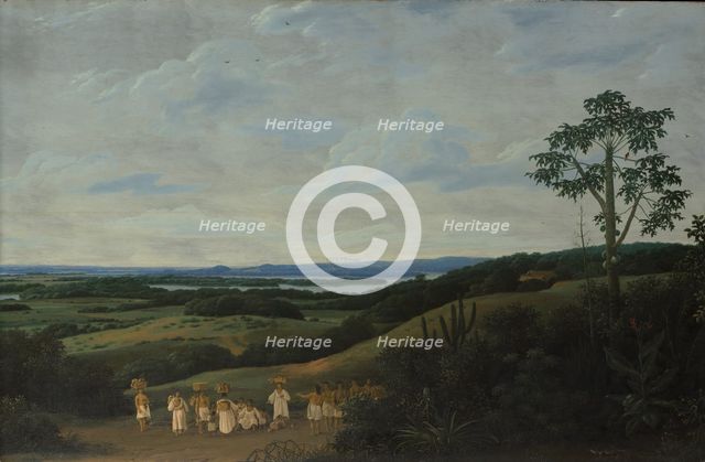 A Brazilian Landscape, 1650. Creator: Frans Post.