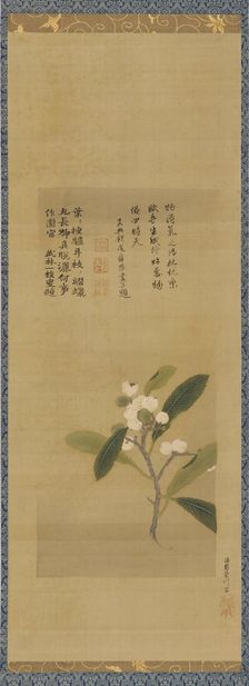 A branch of loquats, Edo period, 18th century. Creator: Kanô Eisen'in Michinobu