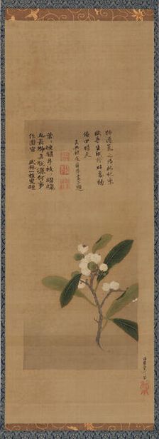 A branch of loquats, Edo period, 18th century. Creator: Kanô Eisen'in Michinobu