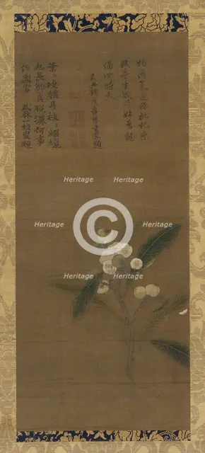 A Branch of loquats, Ming dynasty, 1368-1644. Creator: Unknown.