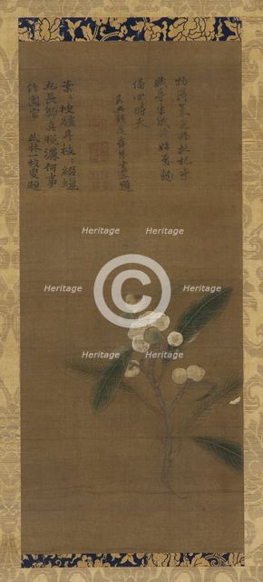 A Branch of loquats, Ming dynasty, 1368-1644. Creator: Unknown.