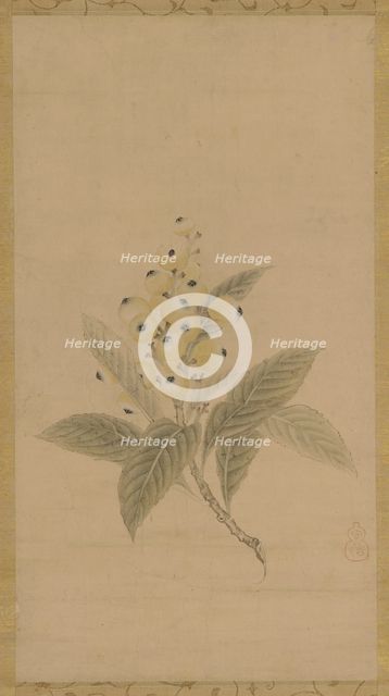 A branch of medlars, Edo period, 17th century. Creator: Kanô Tan'yû.
