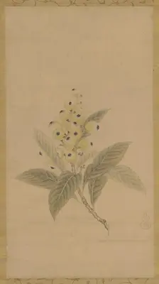 A branch of medlars, Edo period, 17th century. Creator: Kanô Tan'yû