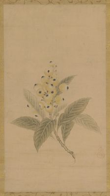 A branch of medlars, Edo period, 17th century. Creator: Kanô Tan'yû