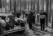 A break in the woods, 1936