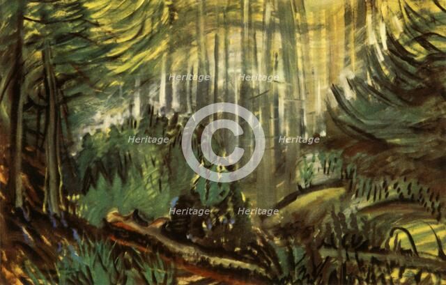 'A British Columbian Forest', 1941. Creator: Emily Carr.
