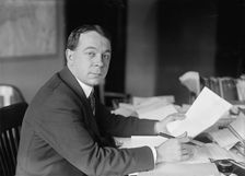 A. Bruce Bielski, Chief, F.B.I, Justice Department, 1917. Creator: Harris & Ewing