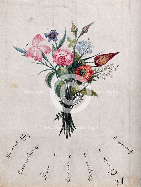 A bunch of flowers, the initial letters of which are shown to spell "Dorotea", c1890s.. Creator: Unknown.