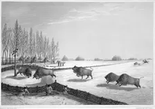 A buffalo pound, Canada, c1819-1822 (1823). Creator: Edward Finden