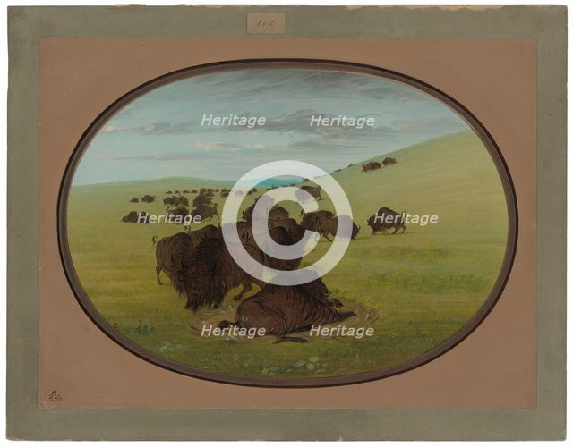 A Buffalo Wallow, 1861/1869. Creator: George Catlin.