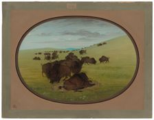A Buffalo Wallow, 1861/1869. Creator: George Catlin