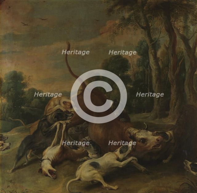 A bull overpowered by dogs, between 1620 and 1657. Creator: Frans Snyders.