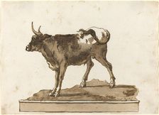 A Bull on a Ledge, 1770s. Creator: Giovanni Battista Tiepolo