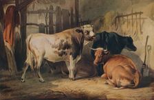 A Bull and three Cows in a Stable c1856. Artist: Thomas Sidney Cooper