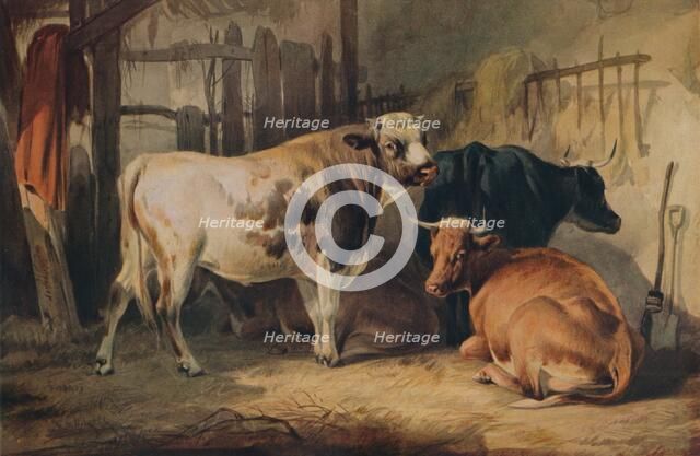 'A Bull and three Cows in a Stable', c1856. Artist: Thomas Sidney Cooper.