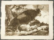 A Bull and Two Sheep, n.d. Creator: Pierre Lelu
