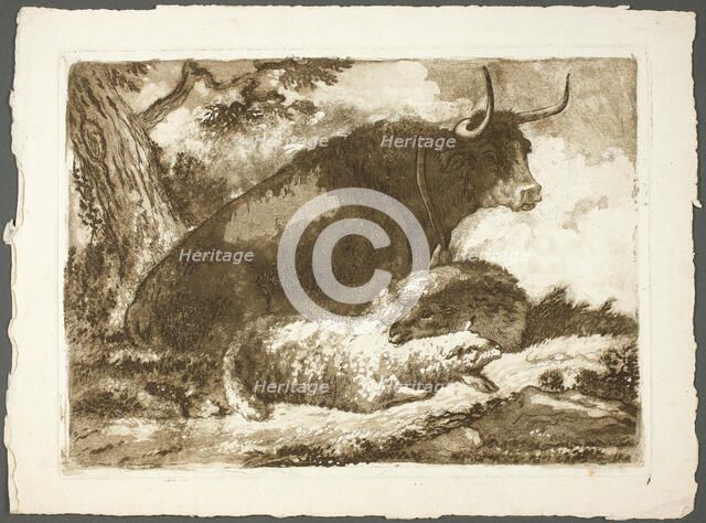 A Bull and Two Sheep, n.d. Creator: Pierre Lelu.