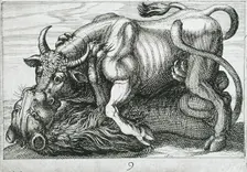 A Bull Fighting a Lion, 1610. Creator: Hendrick Hondius I